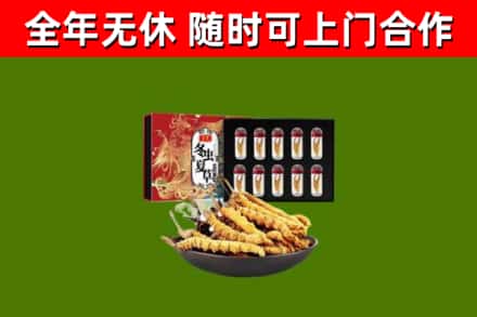望牛墩镇烟酒回收冬虫夏草礼盒.jpg